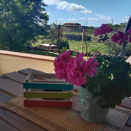 Casa vacanze Janas I.u.n P3605 *