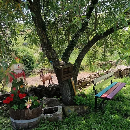 Janas I.u.n P3605 Casa vacanze *